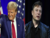 Here's what Elon Musk will do if Donald Trump wins the US elections in November