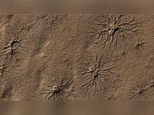 Mars spiders features