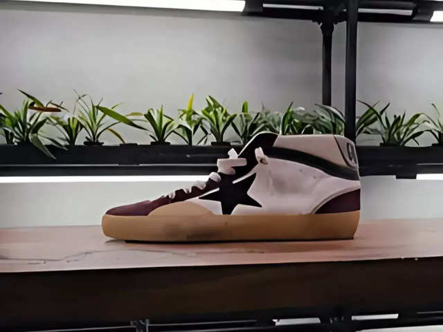 The viral Golden Goose sneakers