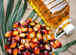 India palm oil output to triple in 6 yea