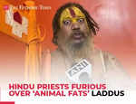 Hindu Priests furious over ‘animal fats’ laddus in Ram Mandir Pranpratistha 'Prasad Ke Rup Mein…'