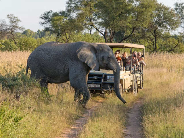 ?Kruger National Park, South Africa