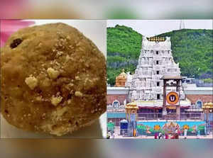 ttd laddu