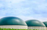 Incentives, local support at state level can boost biogas sector; states can save Rs 50K cr, says industry