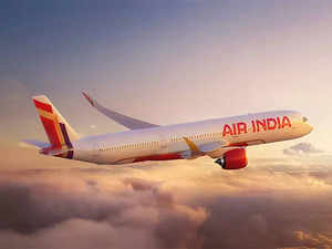 Air India looks to upgrade inflight product to woo premium customers:Image