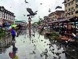 Campaign colours in Lal Chowk