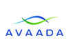 Avaada plans Rs 2.5 lakh crore capex to charge up renewables business