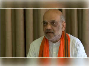 Amit Shah (File Image)