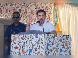 Opposition leader Rahul Gandhi's campaign rally in Srinagar