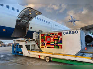 Airlines load big cargo plans for India