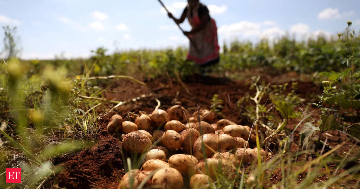 From Peels to Fuel: Potatoes may soon quench thirst of your car