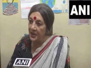 'Shame such a person is Governor of Tamil Nadu': CPI(M) leader Brinda Karat on RN Ravi's 'secularism' remarks