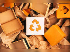 Burdened by plastics: What’s the road ahead for sustainable packaging?:Image