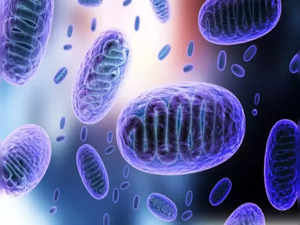 Untreatable fungal infections