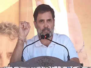 Rahul Gandhi raises concern on unemployment in Haryana, slams BJP