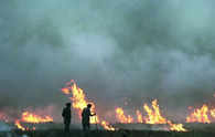 Stubble Burning Season Starts: Get ready for bad air in Delhi-NCR from next month