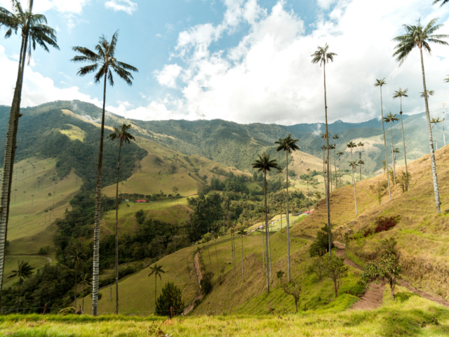 Colombia