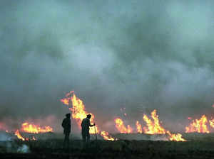 Stubble burning_ Mohali eyes zero cases this time.