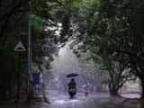 Low pressure to bring heavy rain in several West Bengal districts: Met Department