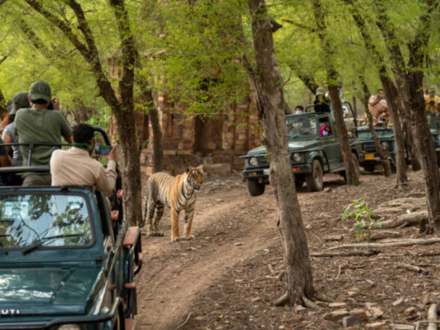 Jim Corbett National Park - Uttarakhand