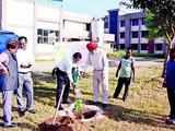 'Ek Ped Maa Ke Naam': Centre achieves target of planting 80 crore saplings