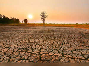 El Nino of 1904-07 may have helped spread cholera in India, study finds