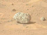 NASA finds a mysterious Zebra rock on Mars: Here's all about this new exciting discovery