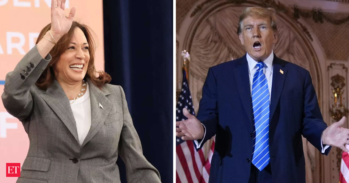 US Election: Kamala Harris leads Donald Trump in several battleground states, various polls say