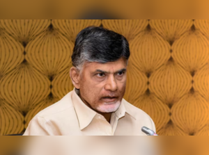 Andhra govt committed to making healthcare facilities accessible to combat maternal, infant mortality: CM Naidu