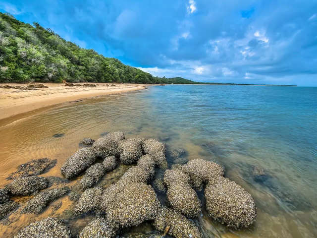 Mozambique