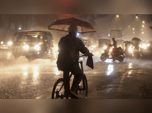 ? The India Meteorological Department (IMD) has issued a red alert for Mumbai, Thane, Palghar, and Raigad