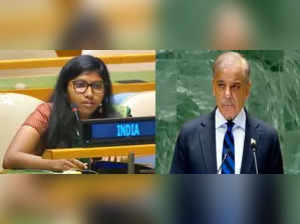 India rebukes Pak's 'decisive response' threat at UNGA, calls out cross-border terrorism