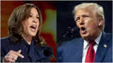 Tax armageddon: That's what Americans will face if Kamala Harris wins US elections