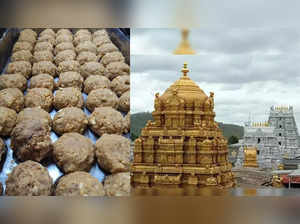 SC To Hear Pleas Seeking CBI Probe Into Alleged Use Of Animal Fat In Tirupati Laddu Today!