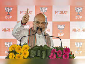 **EDS: IMAGE VIA @AmitShah** Rewari: Home Minister Amit Shah addresses a public ...