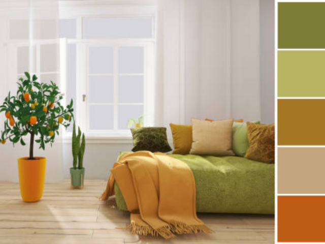 Earthy & warm color palettes