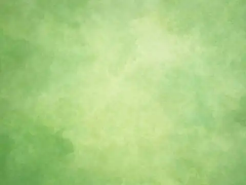 Day 2 - Dwitiya (Green)