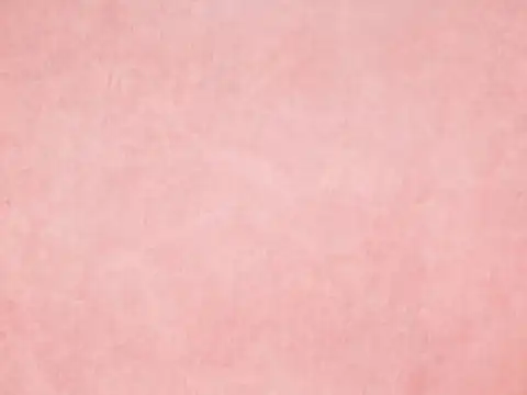 Day 8 - Ashtami (Pink)
