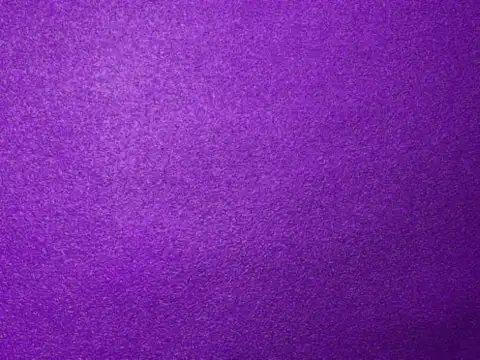 Day 9 - Navami (Purple)