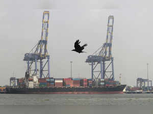 A crow flies past a container ship docked at a port in Vallarpadam in the southern Indian city of Kochi