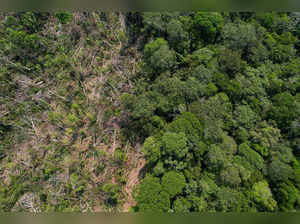 FILE PHOTO: A drone view shows a deforested plot of Brazil's Amazon rainforest in the municipality of Humaita