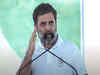 Haryana elections: Rahul Gandhi to campaign in Nuh, hold Vijay Sankalp rally