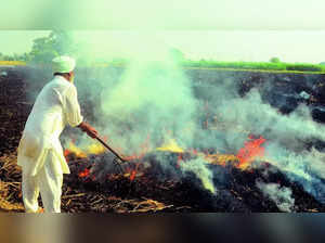 The Supreme Court has sought an explanation from the Commission for Air Quality Management on measures taken to combat stubble burning in NCR and neighboring states.