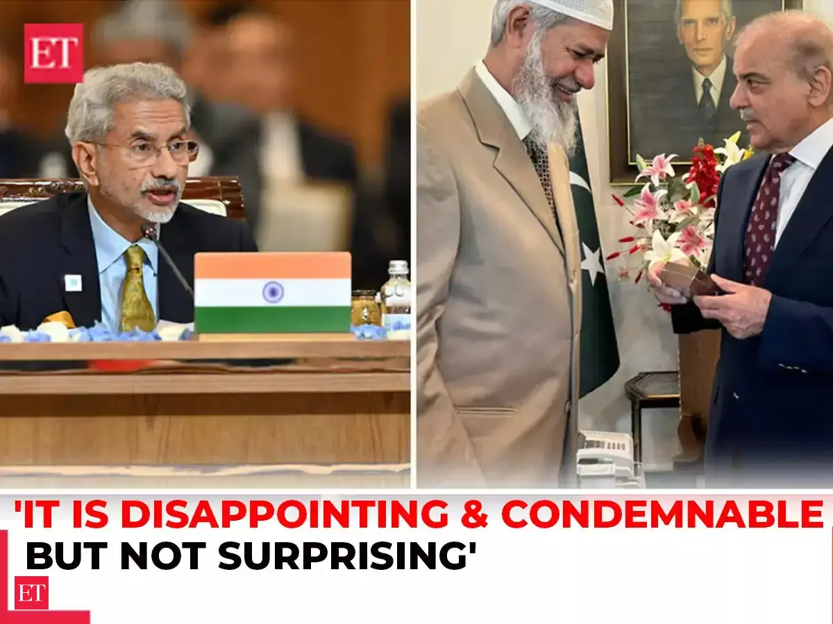 Zakir Naik’s Pakistan visit: Condemnable, not surprising..., says MEA ...