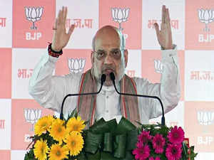 Your vote can keep Haryana corruption-free: Amit Shah urges people to exercise franchise