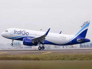 IndiGo is experiencing temporary system slowdown (Representational)