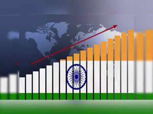 'It's very pleasing to see India sustain a rapid pace of growth', says John Lipsky US economist