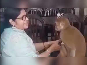 Woman sings Ram Bhajan, monkey hugs her