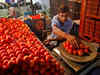 Government to sell tomatoes at Rs 65/kg