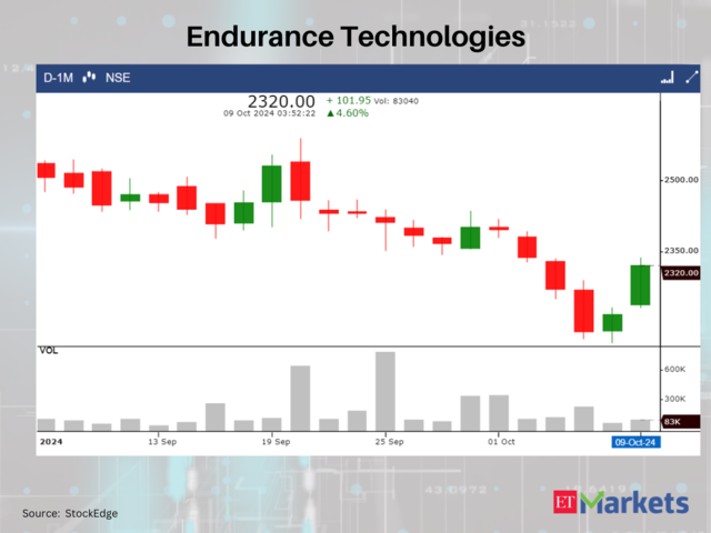 Endurance Technologies